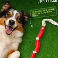 Игрушка для собак &laquo;3 сосиски&raquo;, 50 см, на канате, винил, цвет МИКС