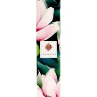 Аромадиффузор Solo магнолия, 50 мл