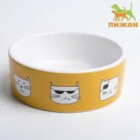 Миска &laquo;Опасные коты&raquo;, 230 мл, 12.5&times;4.5 cм, керамика, белая, оранжевая
