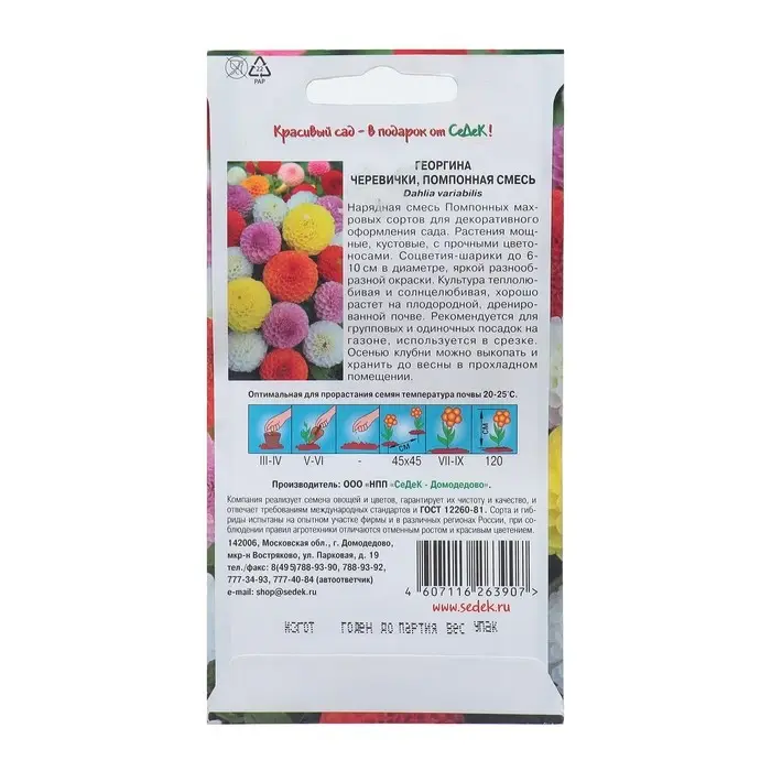 Семена Георгина Черевички, высокорослая помпонная смесь, Евро 0,2 г