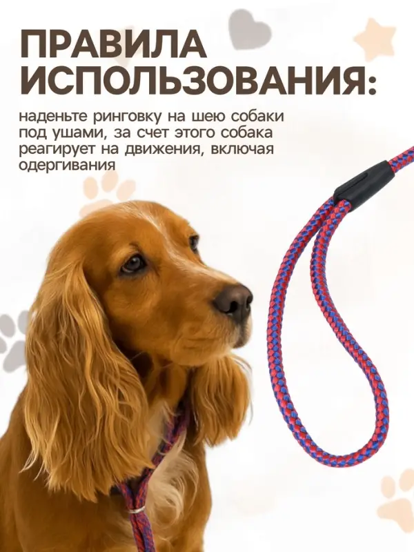 Ринговка для собак, 150&times;0.6 см, с вертлюгом, красная, синяя