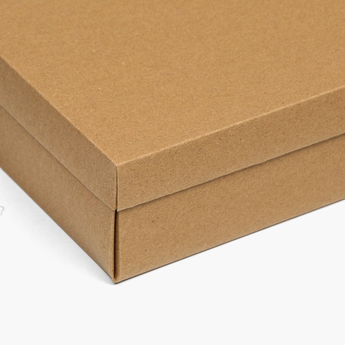 Коробка подарочная складная, упаковка, крышка-дно, крафт, 30 х 30 х 8 см Коробка подарочная складная, упаковка, крышка-дно, крафт, 30 х 30 х 8 см
