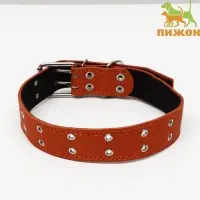 Ошейник безразмерный, 83&times;4.5 см, ОШ 20-71 см, на синтепоне, кожа, оранжевый