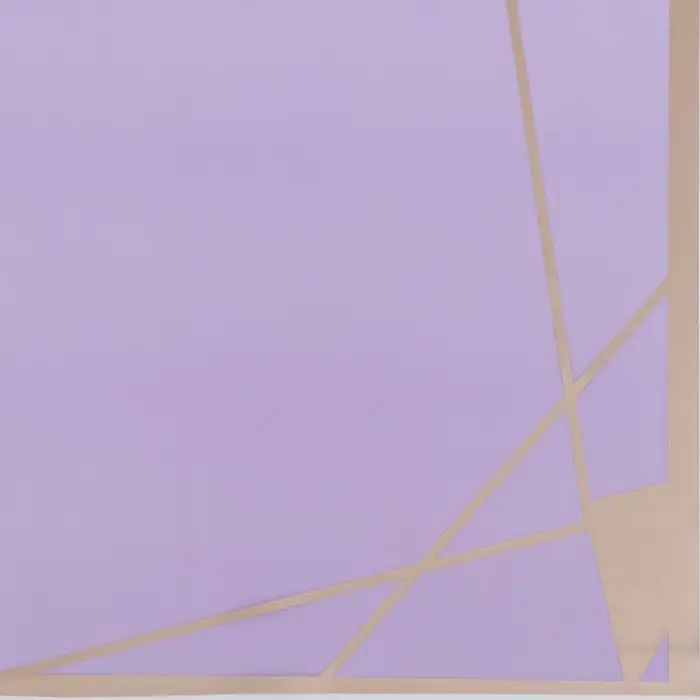 Плёнка для цветов и флористики, лиловый 58×58 см Плёнка для цветов и флористики, лиловый 58×58 см