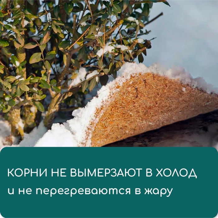 Круг приствольный, d = 0,2 м, из кокосового полотна, Greengo Круг приствольный, d = 0,2 м, из кокосового полотна, Greengo