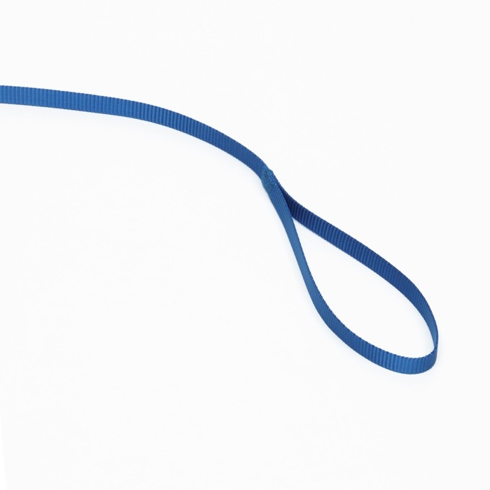 Поводок 120 х 1 см, полиэстер,  синий Поводок 120 х 1 см, полиэстер,  синий