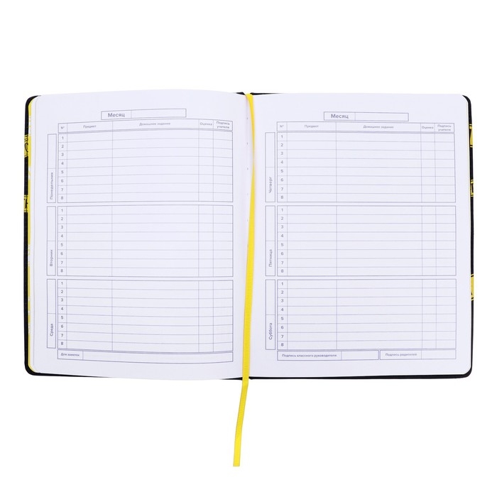 Дневник школьный для 1-11 классов  Дневник школьный для 1-11 классов "Частная территория", твёрдая обложка с поролоном из искусственной кожи, люминесцентная печать, 48 листов, блок офсет 80г/м2, универсальная шпаргалка