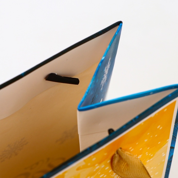 Новый год. Пакет подарочный новогодний под бутылку «Бант», 13 x 36 x 10 см. Новый год. Пакет подарочный новогодний под бутылку «Бант», 13 x 36 x 10 см.