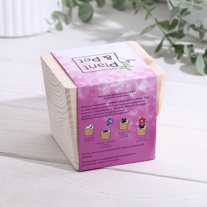 Набор для выращивания P&P Набор для выращивания P&P "Мимоза стыдливая"