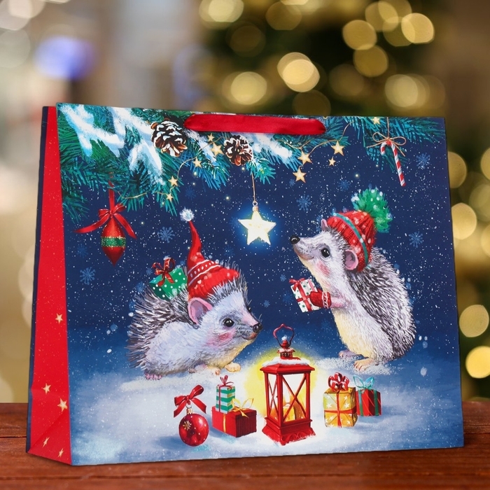 Новый год. Пакет подарочный Новый год. Пакет подарочный "Ёжики", 50 х 40 х 15 см.