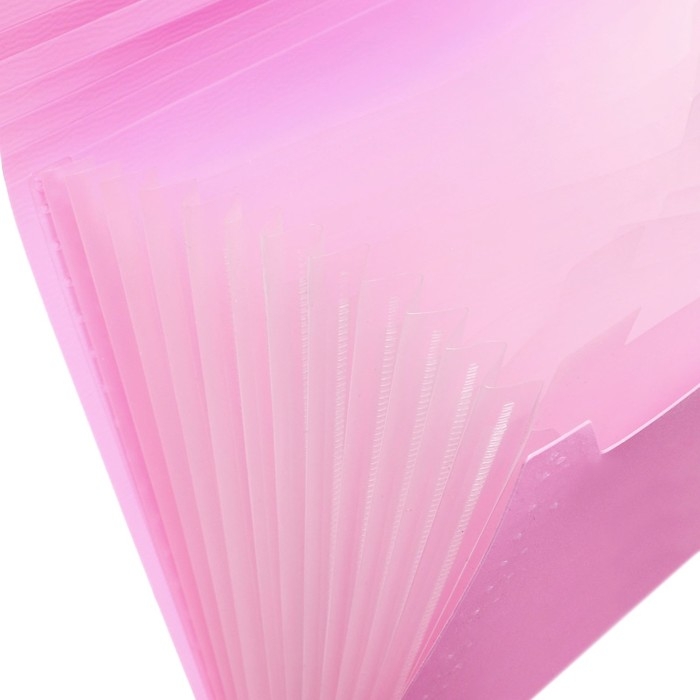 Папка картотека А4, Calligrata Папка картотека А4, Calligrata "Акварель", 13 отделений, пластиковая, 700 мкм, фламинго, резинка чёрная