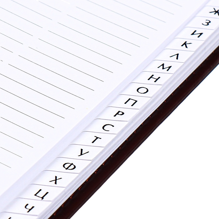 Телефонная книга А5, 64 листа deVENTE. Bravo, твердая обложка из искусственной кожи с поролоном, кремовый блок 70 г/м2, коричневый Телефонная книга А5, 64 листа deVENTE. Bravo, твердая обложка из искусственной кожи с поролоном, кремовый блок 70 г/м2, коричневый