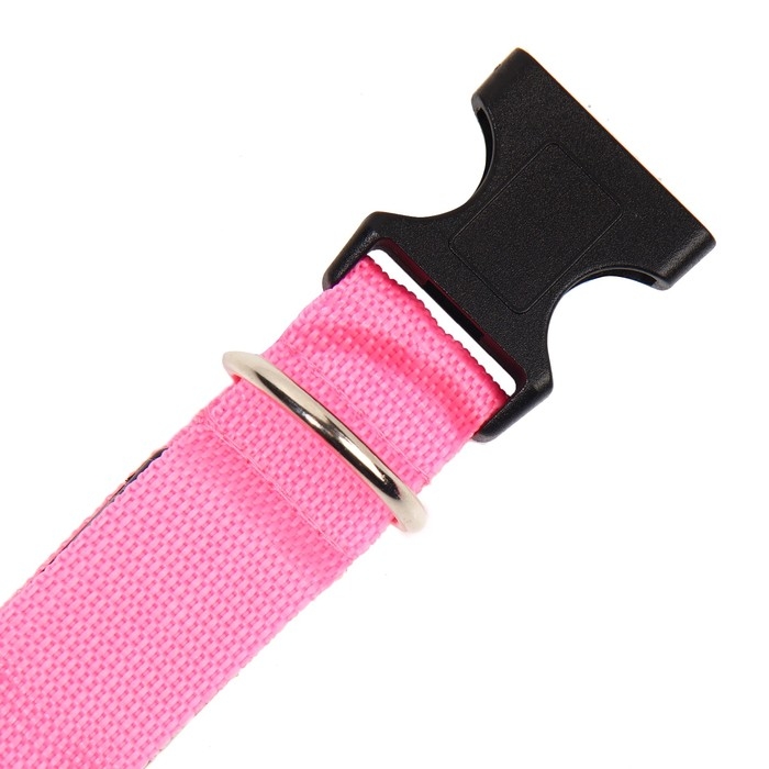 Ошейник с подсветкой Двойная полоса размер S, ОШ 35-43 х 2,5 см 3 режима свечения розовый Ошейник с подсветкой Двойная полоса размер S, ОШ 35-43 х 2,5 см 3 режима свечения розовый