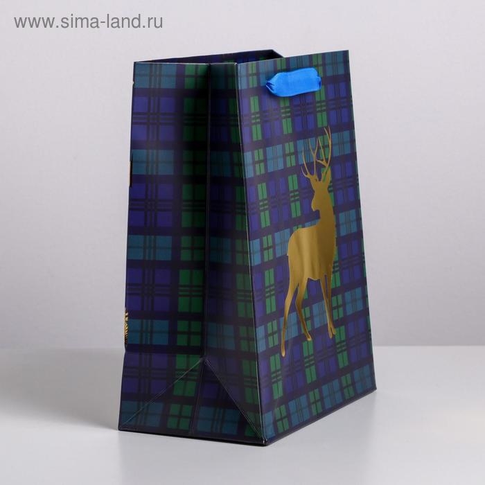 Пакет подарочный новогодний ламинированный &laquo;Стильный&raquo;, MS 18 х 23 х 10 см, Новый год