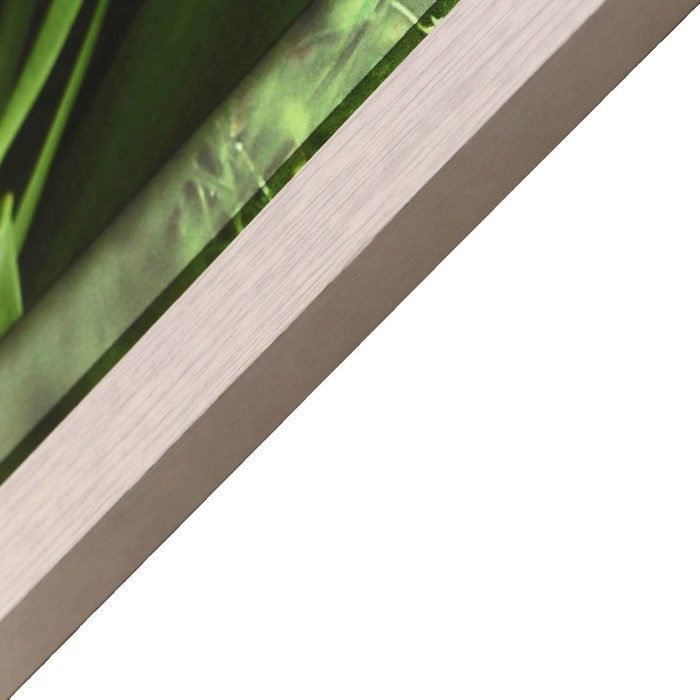 Картина  Картина "Белые тюльпаны" 42х107 см рамка микс