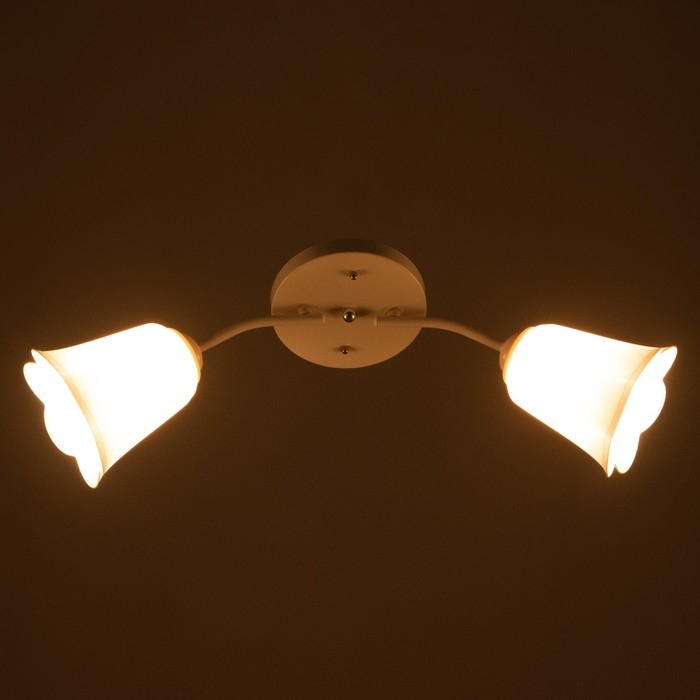 Люстра Люстра "Онлайн" (цветок) 2х15Вт Е27 МОДЕЛЬ: BR 00196 белый