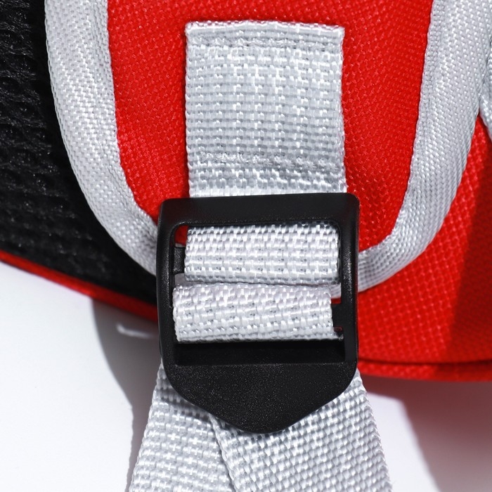 Рюкзак для переноски кошек, прозрачный, 32 х 28 х 42 см, красный Рюкзак для переноски кошек, прозрачный, 32 х 28 х 42 см, красный