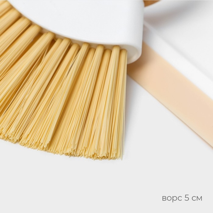 Щётка с совком Raccoon Meli, бамбуковая ручка, совок 18×16,5×4 см, щётка 15×11 см, ворс 5 см Щётка с совком Raccoon Meli, бамбуковая ручка, совок 18×16,5×4 см, щётка 15×11 см, ворс 5 см