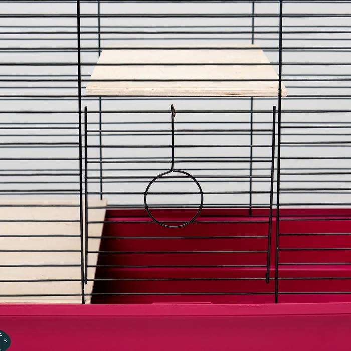 Клетка для шиншилл Клетка для шиншилл "Пижон" №8 с 2-я деревянными этажами, разборная, 58х40х48 см, малиновая