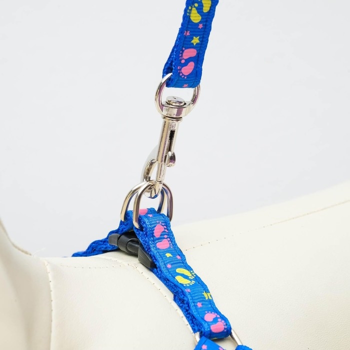 Комплект  Комплект "Цветные следы", ширина 1 см, поводок 120 см, шлейка 23-35 см, синий