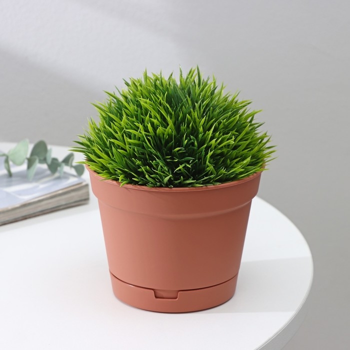 Горшок для цветов с поддоном Mint, 700 мл, d=12 см, h=9,4 см, цвет терракотовый Горшок для цветов с поддоном Mint, 700 мл, d=12 см, h=9,4 см, цвет терракотовый