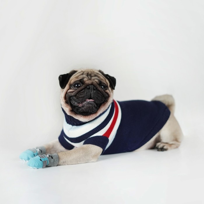 Свитер  Свитер "Полоски", S (ДС 23, ОШ 23, ОГ 26-45 см), синий