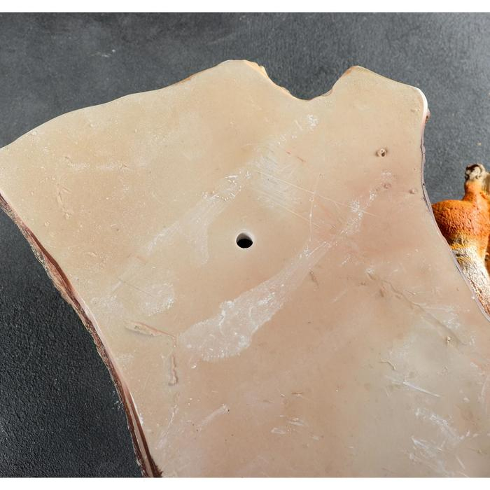 Подвесной декор Подвесной декор "Навесные Белки поилки на дереве" 33х17х60 см