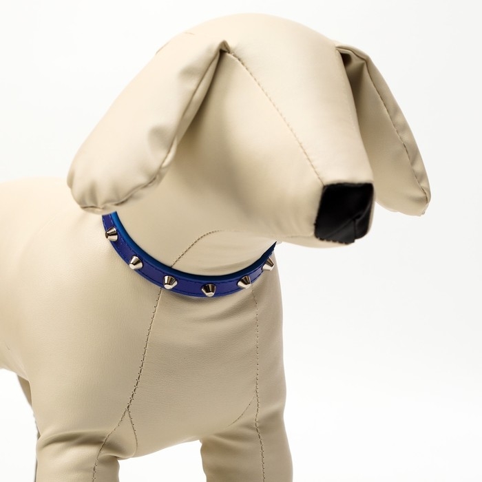 Ошейник с затупленными шипами 38 х 1,5 см, ОШ 26-33, морозостойкий материал PU, голубой Ошейник с затупленными шипами 38 х 1,5 см, ОШ 26-33, морозостойкий материал PU, голубой