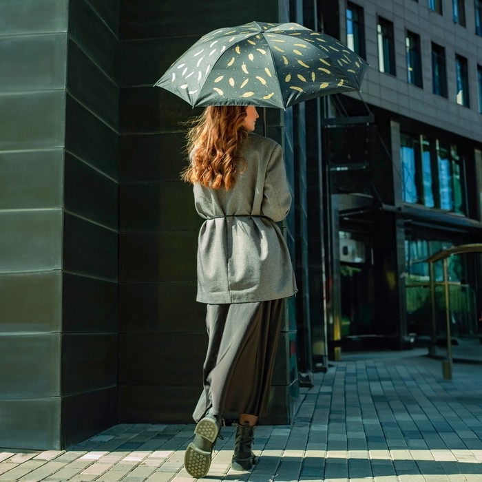 Зонт женский механический «Золотые перья», 8 спиц, d=95, цвет чёрный Зонт женский механический «Золотые перья», 8 спиц, d=95, цвет чёрный