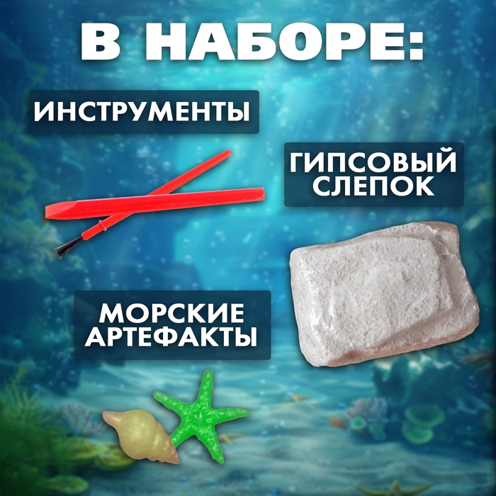 Набор для раскопок «Сокровища океана»