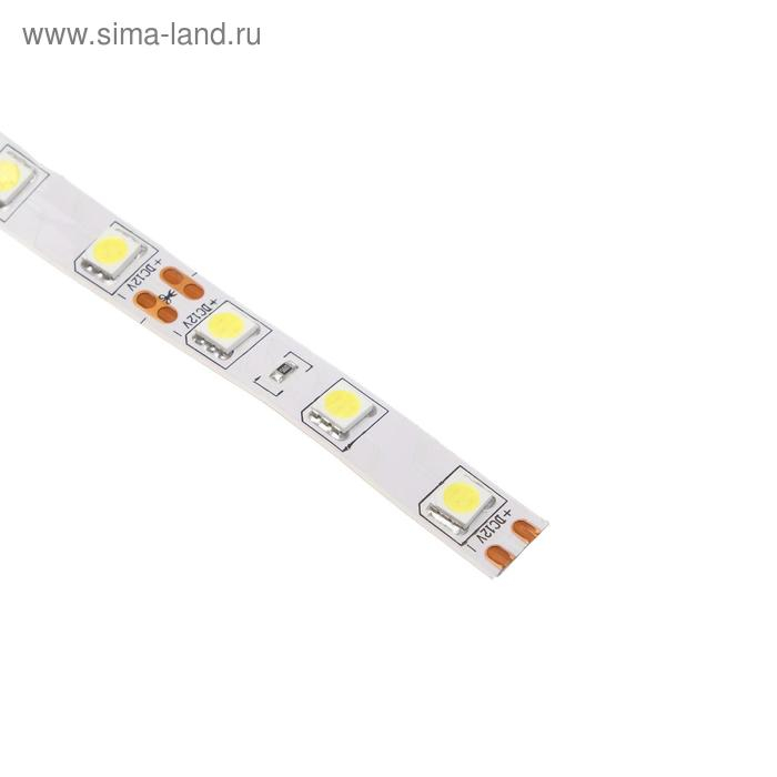 Светодиодная лента Ecola PRO 5 м, IP20, SMD5050, 60 LED/м, 14.4 Вт/м, 12 В, 6000К Светодиодная лента Ecola PRO 5 м, IP20, SMD5050, 60 LED/м, 14.4 Вт/м, 12 В, 6000К