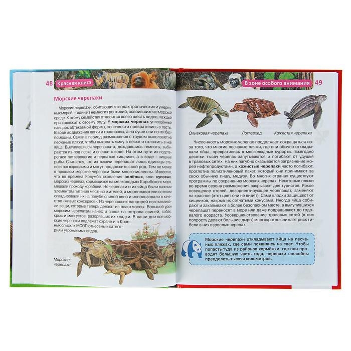 Детская энциклопедия «Красная книга» Детская энциклопедия «Красная книга»