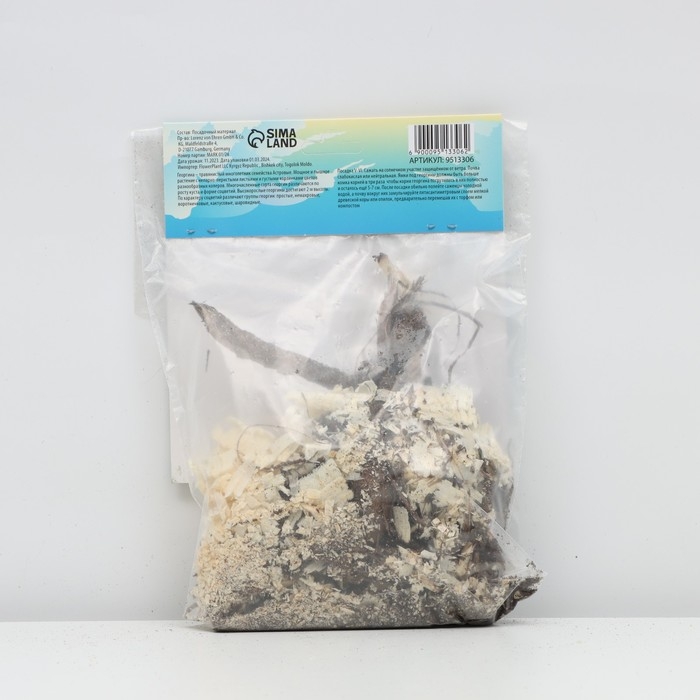 Георгина Декоративная "BERLINER LEMON" , р-р I, 1 шт,