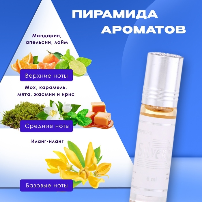 Духи масляные мужские Silver, 6 мл Духи масляные мужские Silver, 6 мл