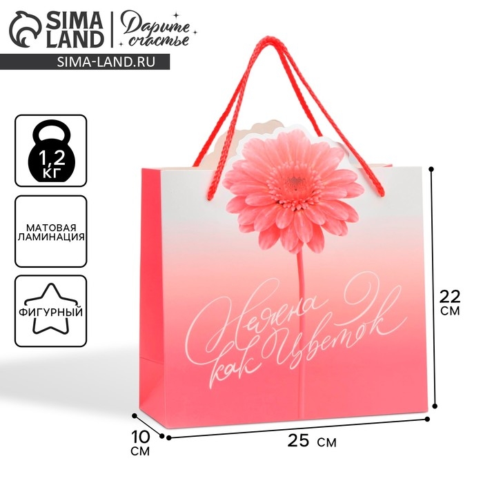 Пакет подарочный, упаковка, &laquo;Flower&raquo;, 25 х 26 х 10 см