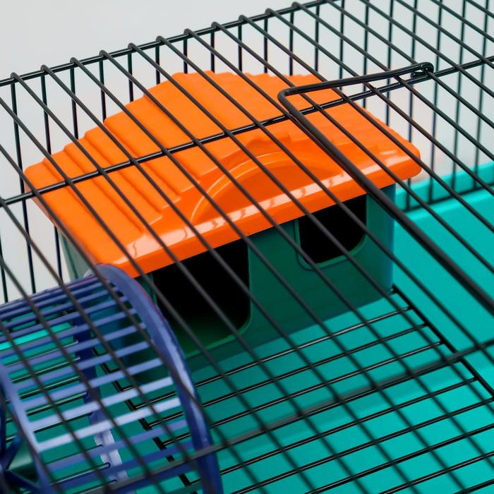 Клетка для грызунов Клетка для грызунов "Пижон" №4, с этажом, укомплектованная, 37х26х18 см, бирюзовая