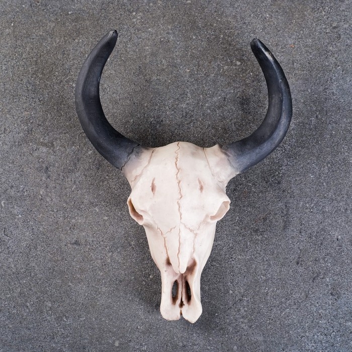 Настенный декор Настенный декор "Череп" 26*10*20см