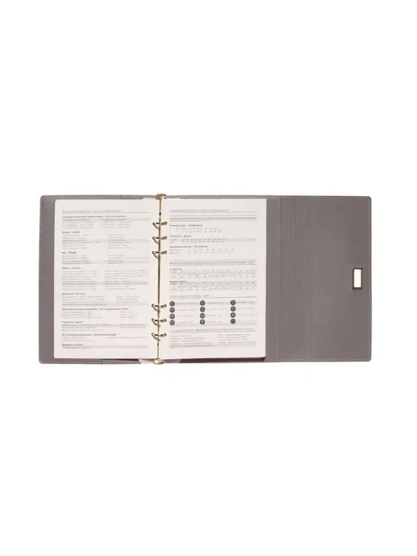 Органайзер на кольцах, А5, с клапаном, 80л, линия, к/зам, с ручкой, Коричневый Органайзер на кольцах, А5, с клапаном, 80л, линия, к/зам, с ручкой, Коричневый