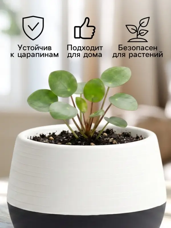 Горшок цветочный &laquo;Япония&raquo;, 125 мл, d=8 см, h=6.5 см, пластиковый, с поддоном, бело-графитовый