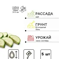 Семена Кабачок &laquo;Кавили&raquo;, F1, 5 шт., &laquo;Агроуспех&raquo;
