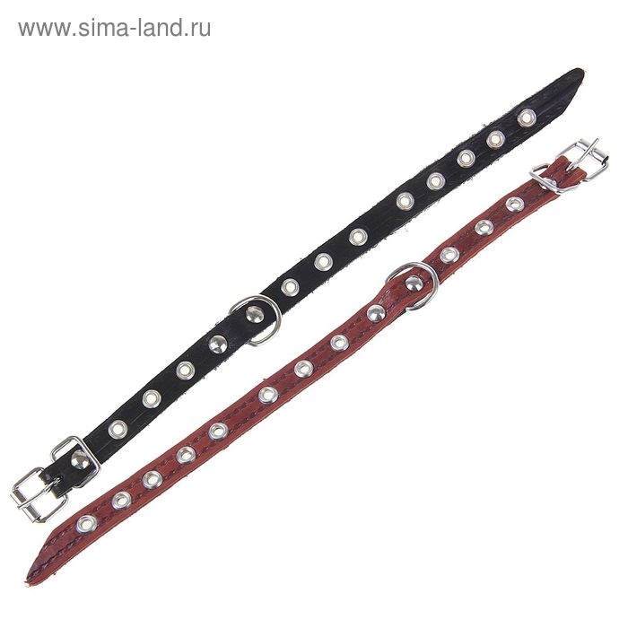 Ошейник кожаный тисненый однослойный, 29 х 1,2 см, безразмерный, микс цветов Ошейник кожаный тисненый однослойный, 29 х 1,2 см, безразмерный, микс цветов