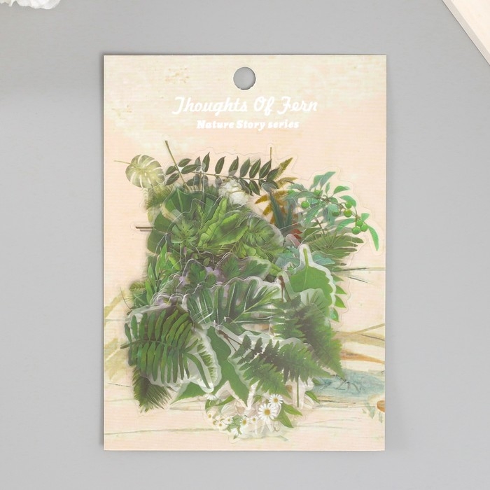 Наклейки для творчества пластик PVC Наклейки для творчества пластик PVC "Зеленые листья" набор 60 шт 10х14 см