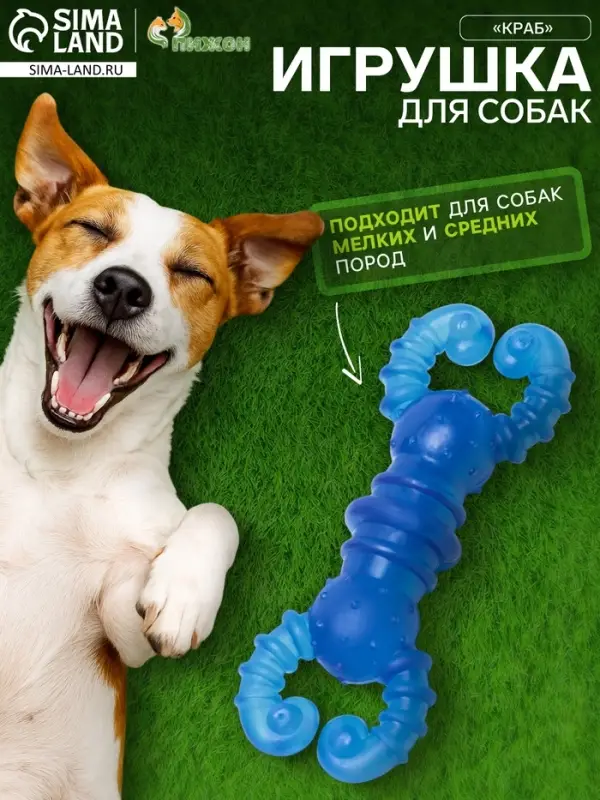 Жевательная игрушка для собак &laquo;Краб&raquo;, прозрачная, 12 см, TPR, голубая