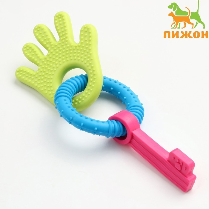 Игрушка жевательная Игрушка жевательная "Всегда вместе!", TPR, 18,5 см, ладошка/круг/ключ