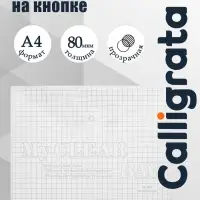 Папка-конверт на кнопке, А4, 80 мкм, &laquo;Клетка&raquo;, прозрачная