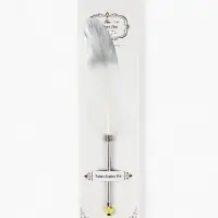 Ручка с пером МИКС, чёрная паста, длина 25 см