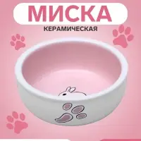 Миска для кроликов, 200 мл, 10&times;3.7 см, керамика, белая, розовая