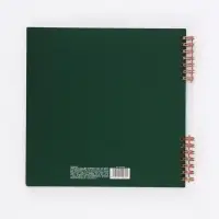 Фотоальбом бумажный 20х20, 25 л Дисней 1