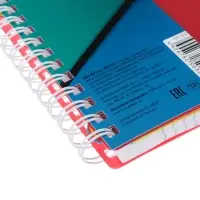 Тетрадь А4 96л кл "PROGRESSIVE CANVAS Красная",пласт обл,греб,фигур высеч,4цв разд+лин+кар Тетрадь А4 96л кл "PROGRESSIVE CANVAS Красная",пласт обл,греб,фигур высеч,4цв разд+лин+кар