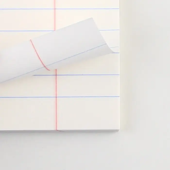 Тетрадь в линейку, предметная, 48 л.,на скрепке, А5 &laquo;КОТ. Литература&raquo;